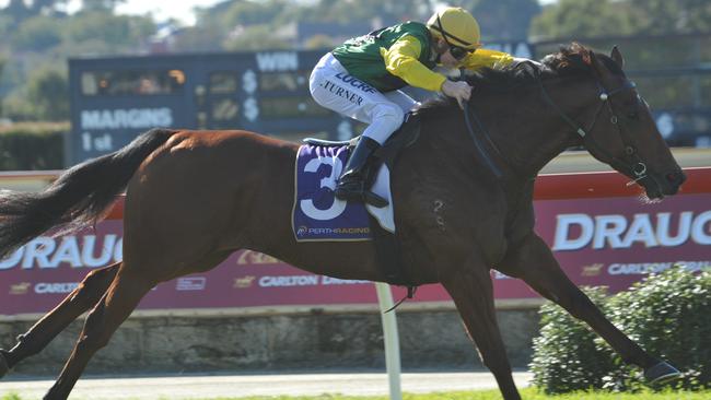 30.5.2015 Belmont Races. race 3 Virtual Trader ridden by Jordan Turner wins.