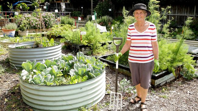 Jacki Gracey is the Balgowlah Community Garden.