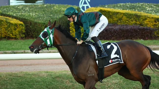 Diamond Diesel could deliver trainer Adam Duggan the biggest win of his career. Picture: Jeremy Ng/Getty Images