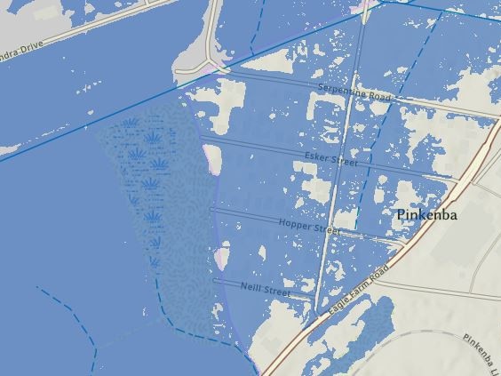 Brisbane flood mapping for Cyclone Alfred: Pinkenba