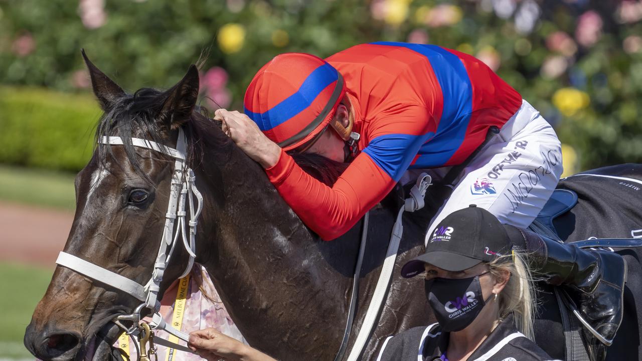 Verry Elleegant won 11 Group 1s including the Melbourne Cup in 2021. Picture: Racing Photos via Getty Images