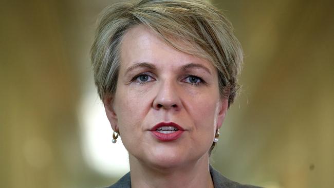 Labor education spokeswoman Tanya Plibersek in Canberra.