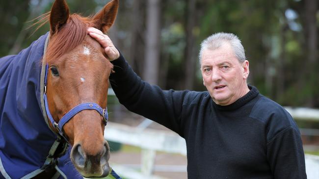 Award-winning Horse Trainer David Brunton Was Suspended For Three 