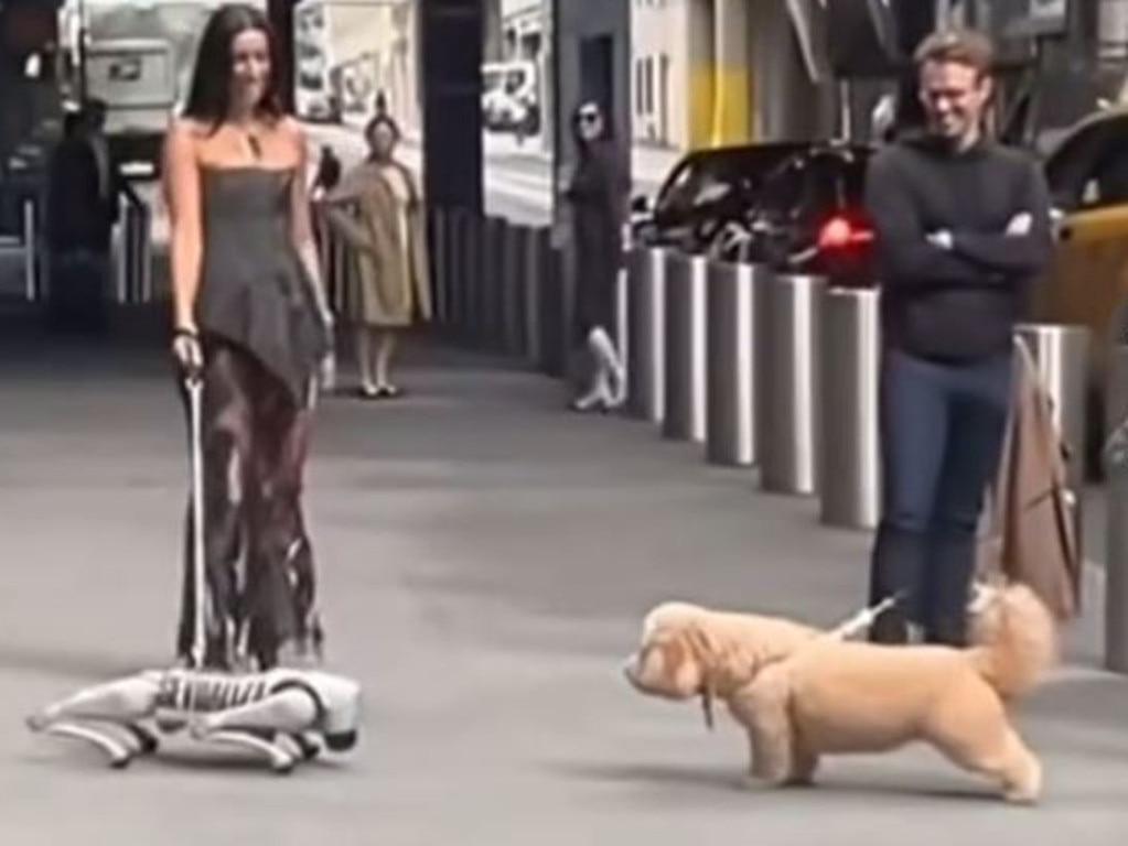 A glamorous singer was spotted walking her creepy robo-dog. Picture: TikTok