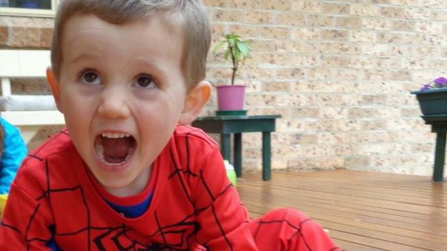 William Tyrrell disappeared from his foster grandmother’s house in Kendall. Picture: Supplied.