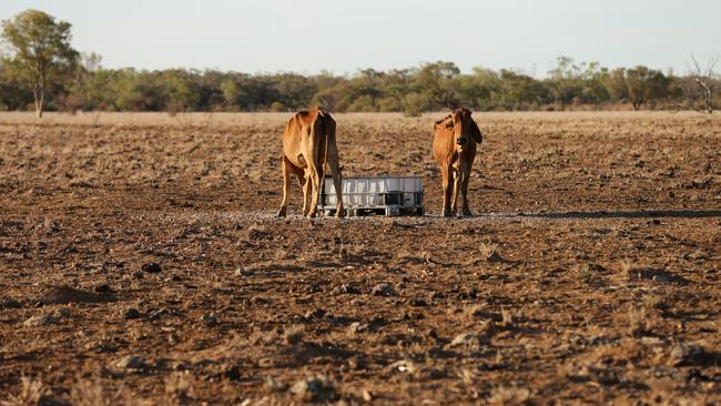 New $200m Venture Planned For Queensland’s North 