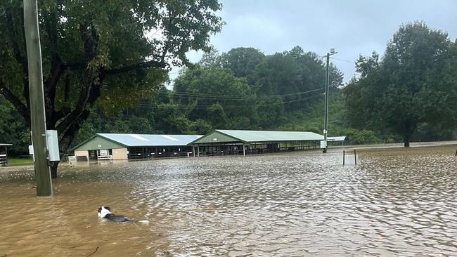 Flooding in north Bellingen last March