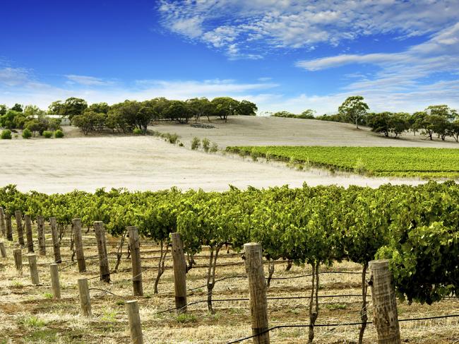 NOVEMBER 22 2015 SA DEALS Explore the vineyards of the Barossa Valley in SA. Picture: Supplied