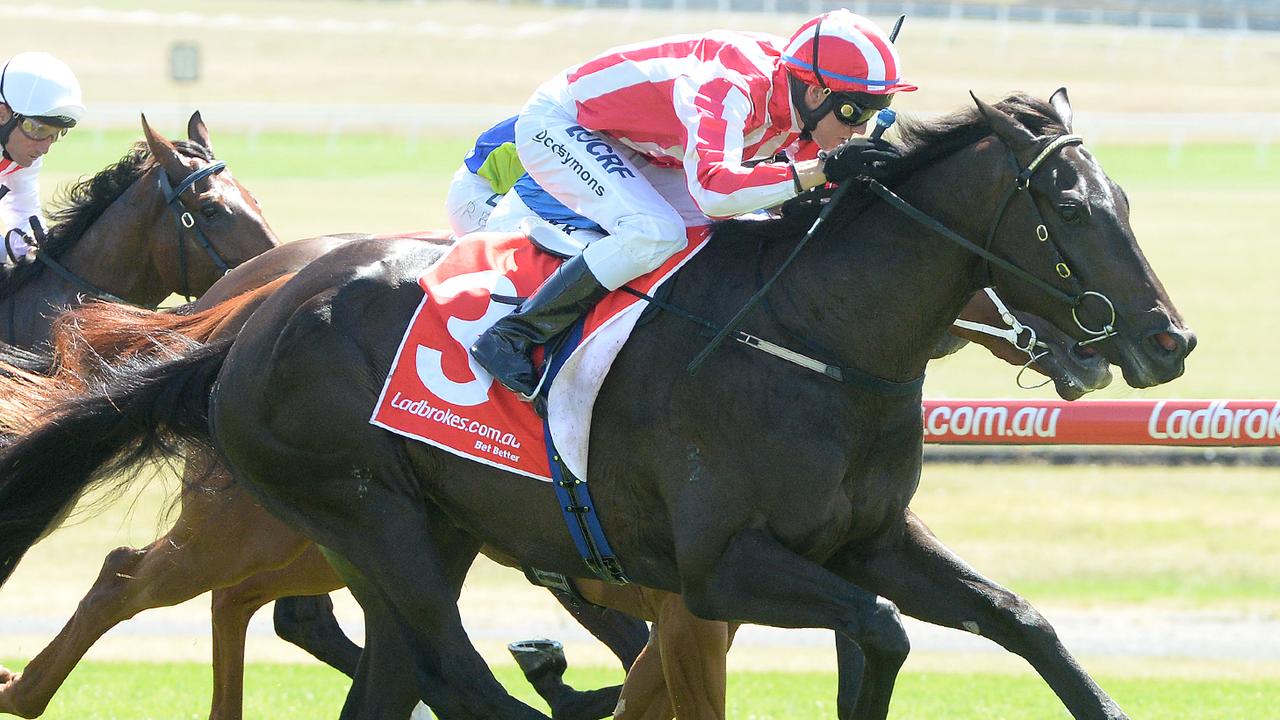 Alligator Blood ready to attack in CS Hayes Stakes at Flemington ...