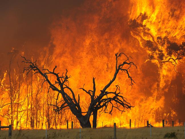 A bushfire burns in the Bunyip State Forest on February 7, 2009. Picture: AAP Image/Andrew Brownbill