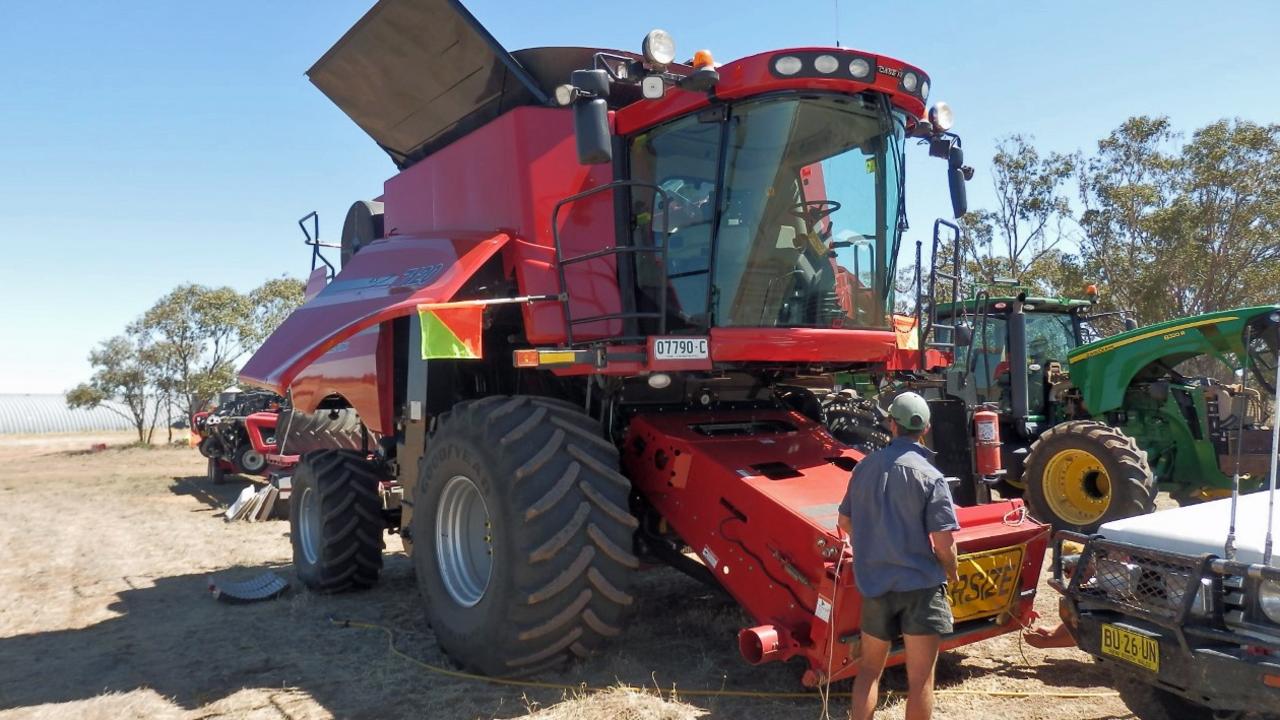 Farmers Warned To Watch Out For Devastating Weed Daily Telegraph   F58abbc96c84156b74eacf6312e18af9