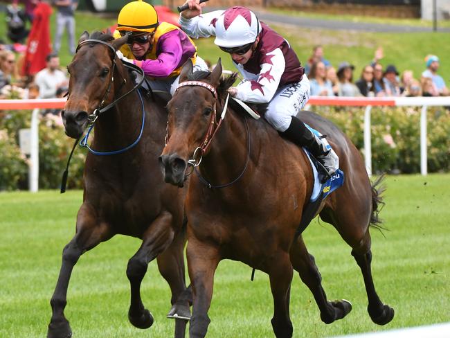 Lyuba holds off Chiavari (left) at Moonee Valley Racecourse on November 26. Picture: Getty Images
