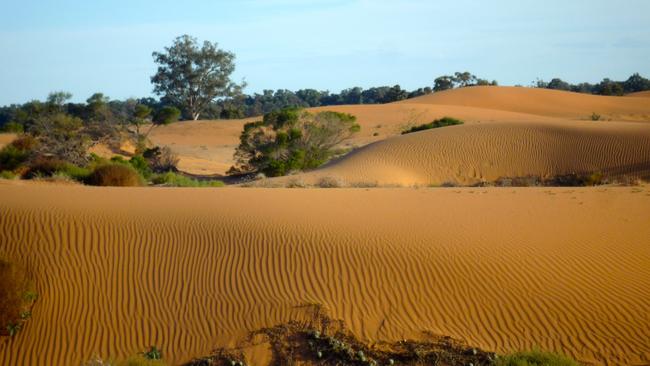 Relax in Mildura and take a cruise down the Mighty Murray River ...