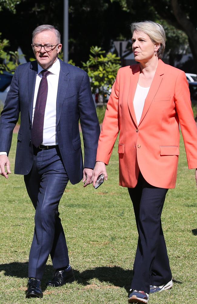 Prime Minister Anthony Albanese and Environment Minister Tanya Plibersek in Rosebery. Picture: NewsWire / Gaye Gerard