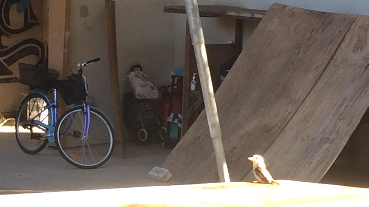 Homeless dwelling at former Noosa TAFE complex.