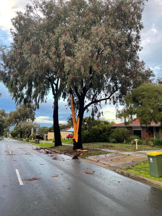 Storm aftermath at Ladywood Road, Modbury Heights. Picture: Luke Harris