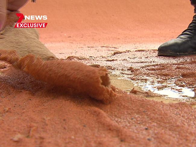 Less than two weeks after hosting its first major event, a $6 million O’Hallloran Hill BMX Sam Willoughby facility hailed as ‘world-class’ has been abandoned by riders, looking worse for wear. Picture: 7 NEWS