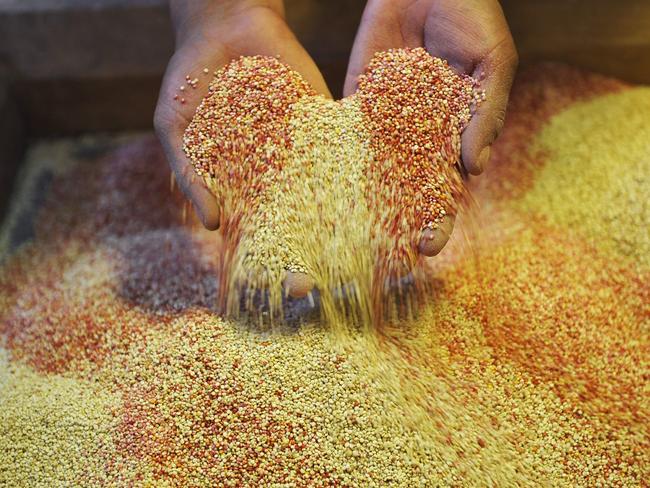 See how small quinoa grains are? That’s how much Sarah fancied old mate after the awkward leg touching. But after the more awkward apology text about the leg touching, poof that was gone too. She really needs more of a pumpkin-sized level of fanciability. Picture: AFP Photo/Aizar Raldes