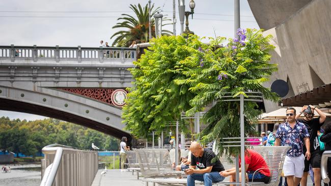 Newly planted trees along Southbank, Melbourne. But there’s not enough of them. Picture: Mark Stewart