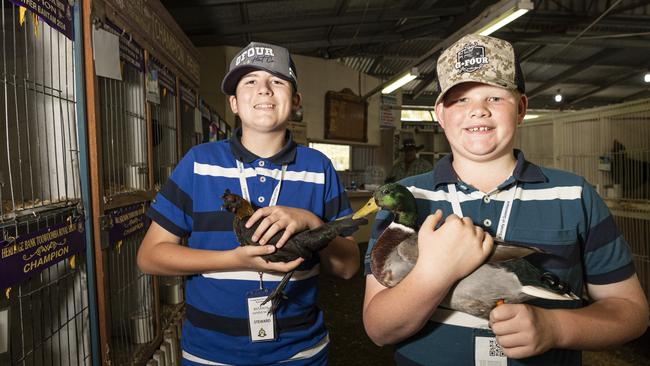 Eli Sippel (left) holding his Junior Champion waterfowl and Ryleigh Sippel with his Junior Champion batam hardfeather at the Toowoomba Royal Show, Thursday, April 18, 2024. Picture: Kevin Farmer