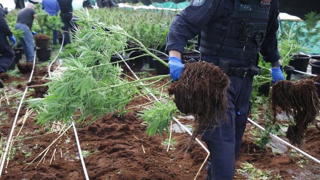 Investigators executing a search warrant at a rural property on Marulan St, Wingello, on Tuesday. Picture: NSW Police