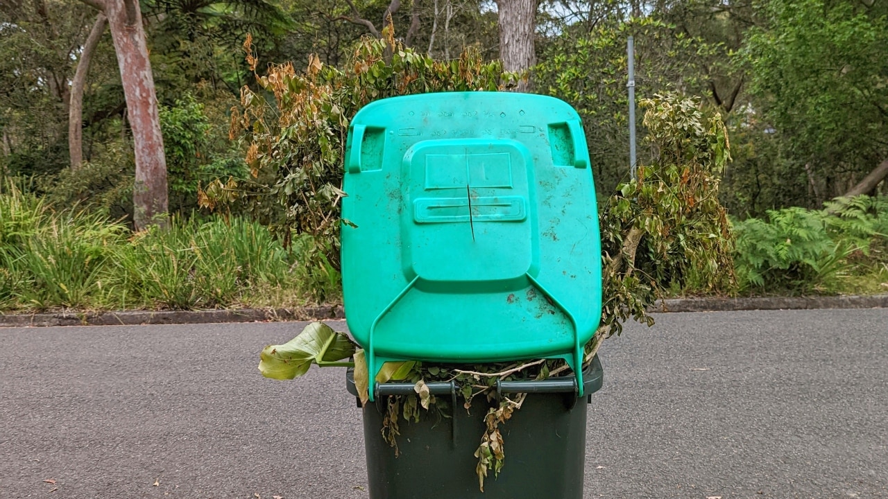 nsw-s-6-million-revolutionising-bin-service-rollout-will-allow