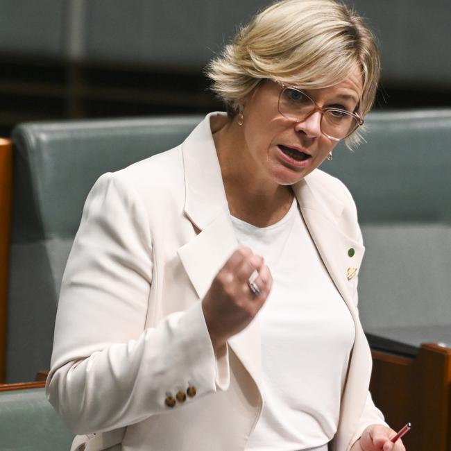 Zali Steggall has criticised the proposal. Picture: NCA NewsWire / Martin Ollman