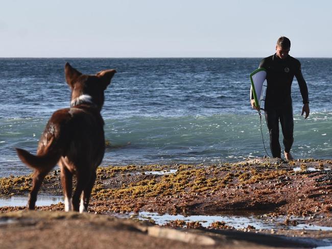 Streaky Bay local, Danny Utah has been surfing along the West Coast since he was a young boy. Picture: Supplied