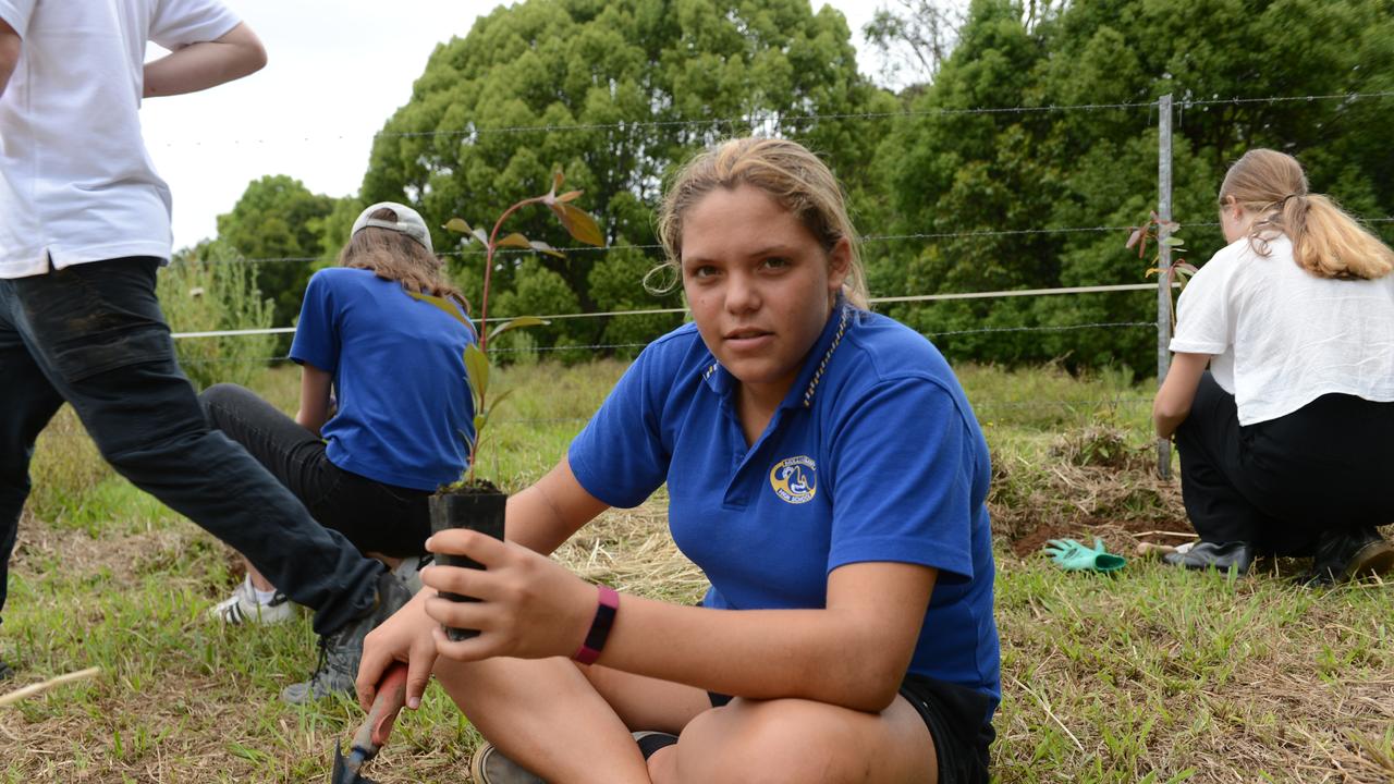 Kaliyah Browning plants a koala food tree on a Binna Burra property as part of Mullumbimby High School's Trees for Koalas - Connecting Communities project. The project is aimed at increasing the number of koala food trees on private properties within the Byron Shire. The group toured a Binna Burra property on Tuesday, October 27, before planting 400 new koala food trees to build upon existing plantation works. Picture: Liana Boss