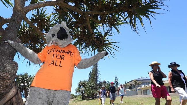 Protester Inga Light in a koala suit.