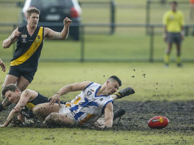 Somerville’s Daniel Marshall has eyes for the footy. Picture: Valeriu Campan