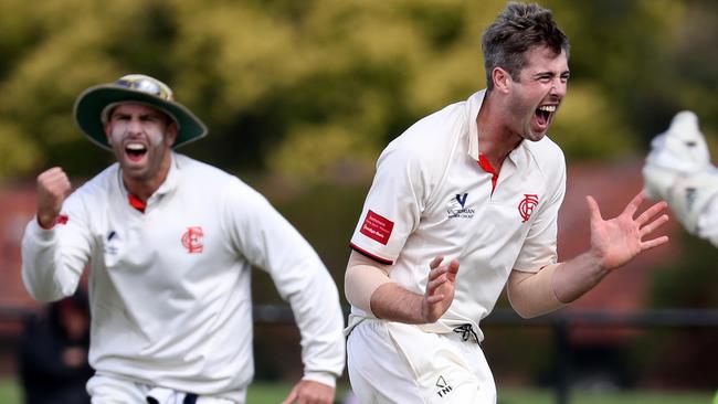 Tom O’Donnell celebrates a wicket against Carlton.