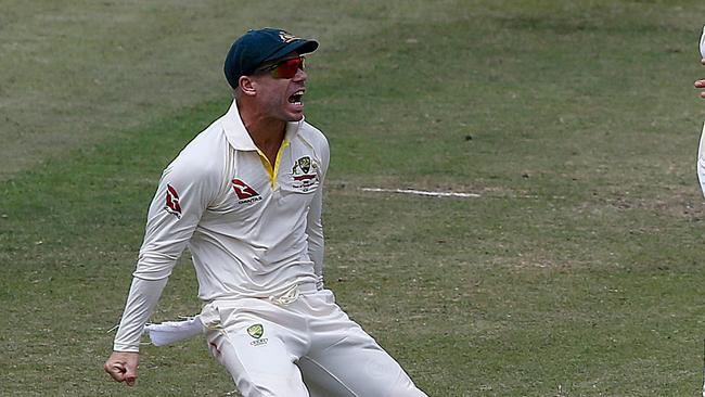 David Warner celebrates the run-out of AB de Villiers in Durban.