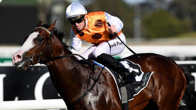 Menari was dominant in The Run To The Rose. Can he carry that form to 1400m?