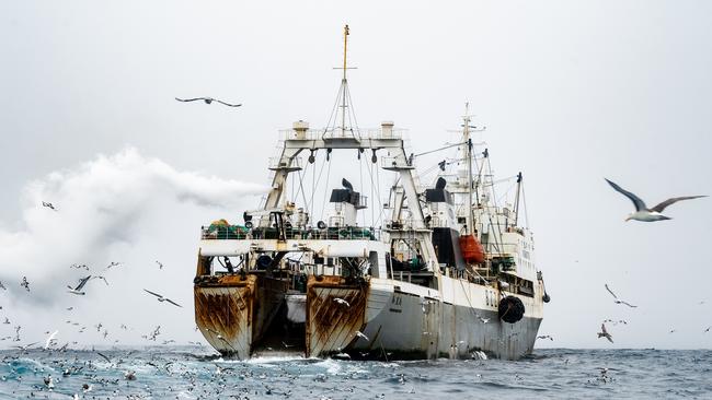 Super-trawler Long Fa fishing for krill near Coronation Island, near the northwest of the tip of the Antarctic Peninsula. Picture: Flavio Gasperini