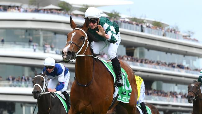 Australia’s best horse Via Sistina will be back in action at Randwick on Saturday in the Apollo Stakes. Photo: Quinn Rooney/Getty Images.