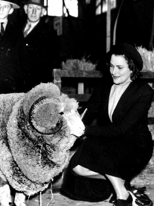 Sheep judging at the Royal Easter Show, Moore Park, in 1937. Picture: The Image Library New South Wales (NSW)