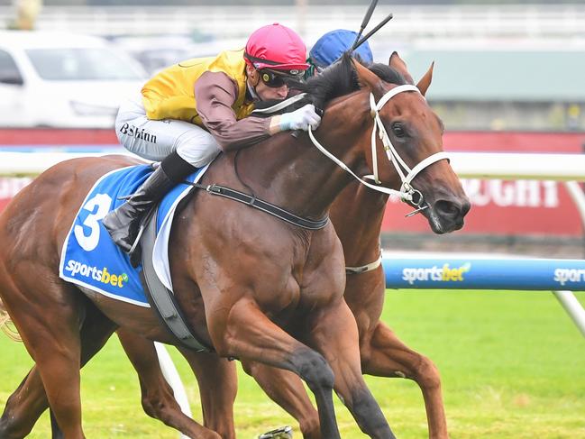 Field Of Play ridden by Blake Shinn wins the Sportsbet Blue Diamond Prelude (C&G) at Caulfield Racecourse on February 08, 2025 in Caulfield, Australia. (Photo by Pat Scala/Racing Photos via Getty Images)