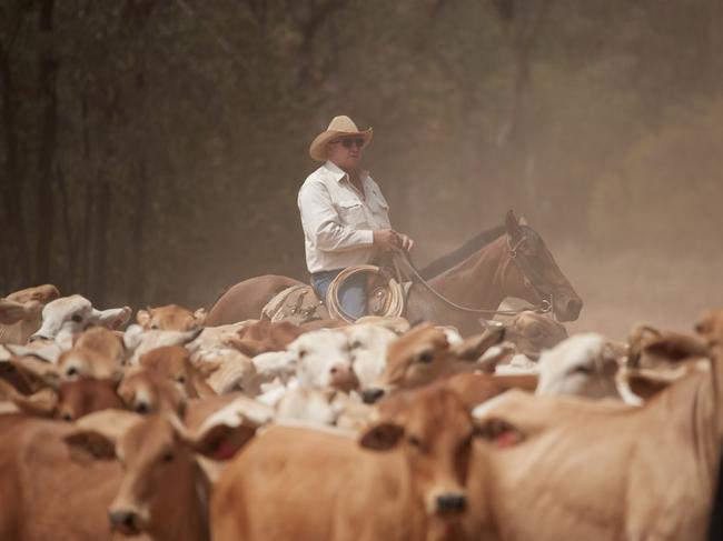 Geoff Murrell, chief ringer Packhorse Pastoral Company. PICTURE: Supplied.