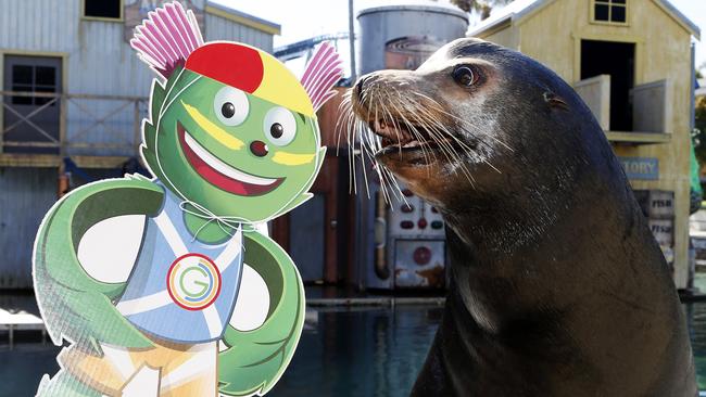 Wendell the sea lion at Sea World on the Gold Coast mucks around with Clyde the Glasgow Commonwealth Games mascot. Pic: Jerad Williams.