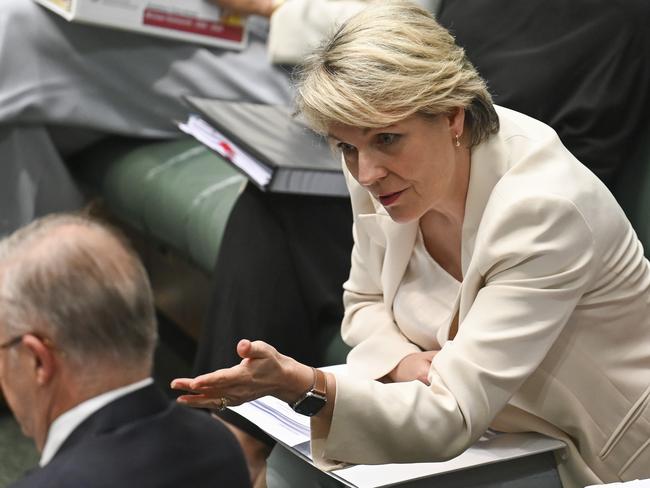 CANBERRA, AUSTRALIA, NewsWire Photos. MARCH 19, 2024: Minister for Environment and Water Tanya Plibersek during Question Time at Parliament House in Canberra. Picture: NCA NewsWire / Martin Ollman