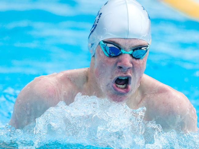 Tom Urquhart in the 100m breaststroke. Picture: Glenn Campbell