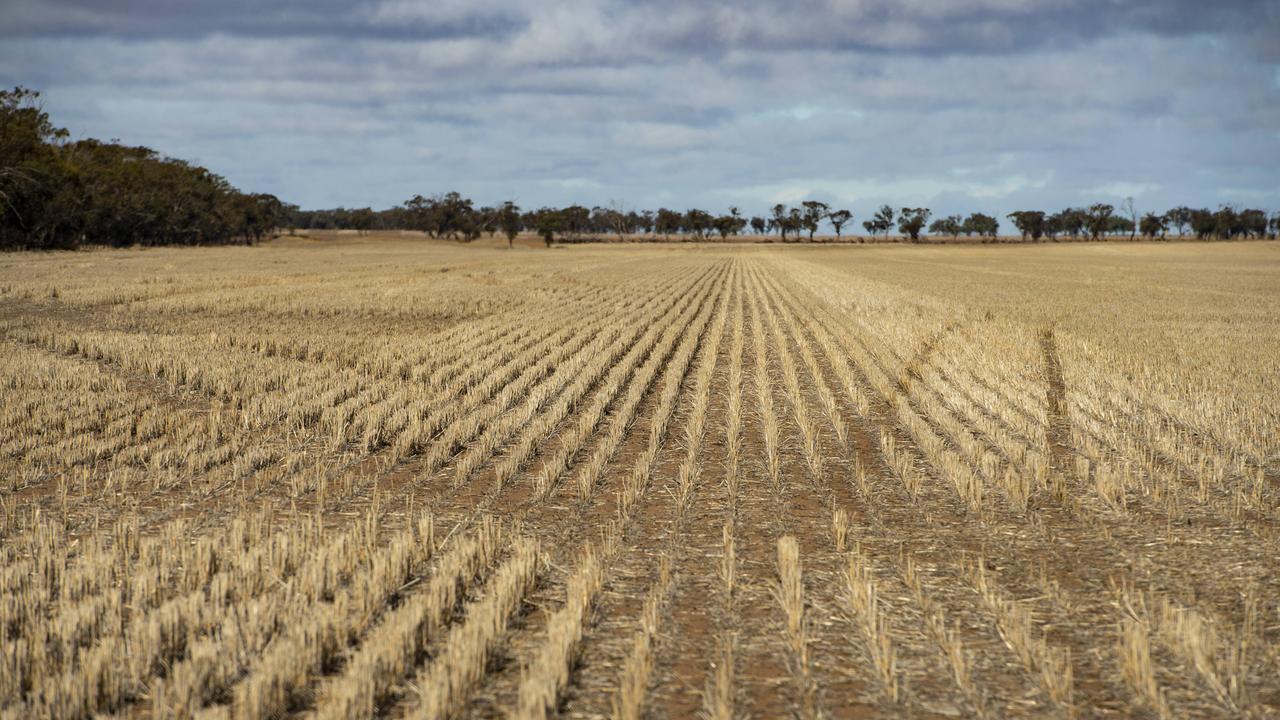 It’s been a hotter summer than the past few, and the top 30cm of soil has dried out.