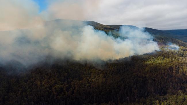 Bob Brown Foundation has called for an urgent immediate inquiry into a fire in the Styx Valley currently being attended to.  Photo: Bob Brown Foundation