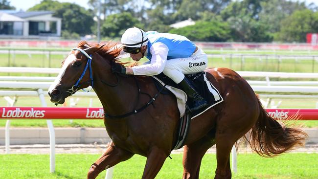 Mishani horses made up 19 of the 21 two-year-olds that trialled at Beaudesert on Monday. Picture: Grant Peters / Trackside Photography.