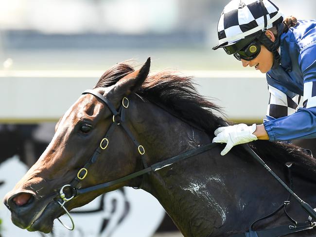 Jockey Tegan Harrison rides Highway to victory at Doomben Racecourse on Saturday, September 14, 2019. Picture: AAP Image/Albert Perez