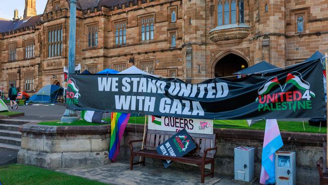 Pro-Palestine protests at Sydney University. Picture: Justin Lloyd