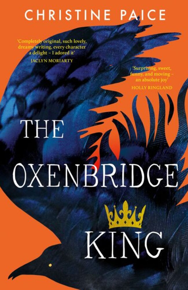 ‘A powerful thing’ … The Oxenbridge King, by Christine Paice