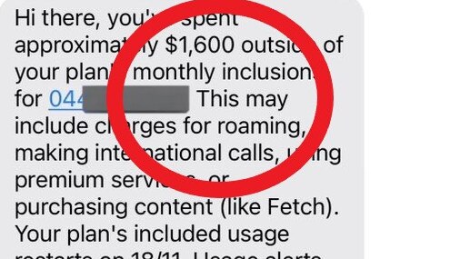 An Optus customer has accused the telco of charging her extortionate fees for services she never used.