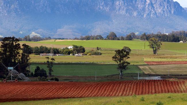 Farmland at Sheffield, at the foot of Mt Roland.